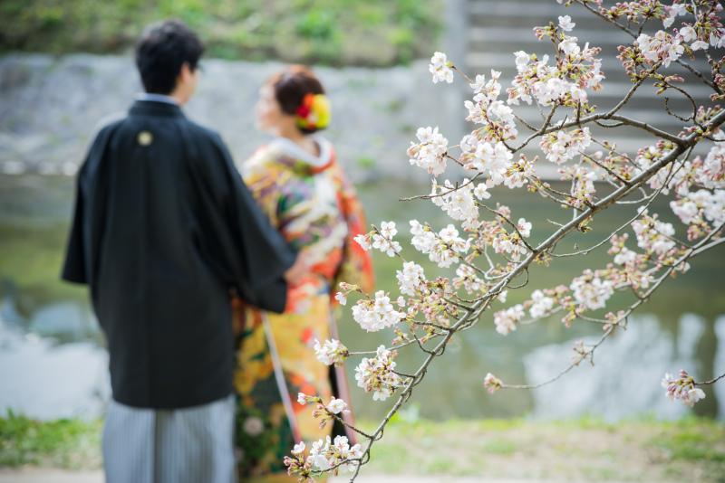 早い方はお問い合わせされています！桜ロケ☆