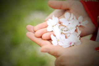 桜でロケーション撮影!!