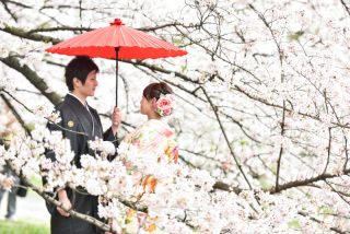 桜のシーズンに向けて!!