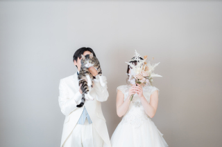 愛猫とのスタジオ撮影