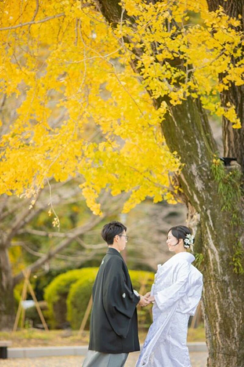 紅葉シーズン