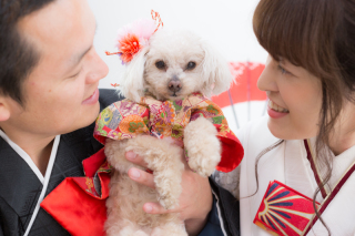 ペット撮影についてのご案内