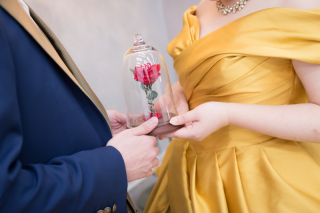 ディズニーウェディングドレスコレクション