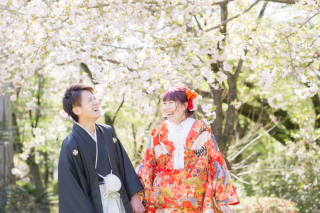 桜のロケーション撮影まだ間に合います！