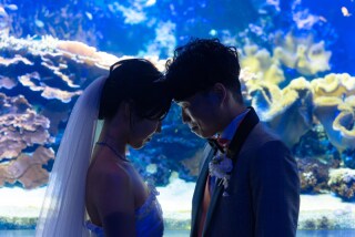 【MaiBRIDE】鳥羽水族館フォトプラン