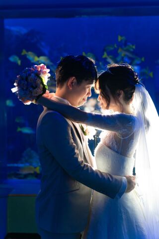 ロマンチックな水族館フォト