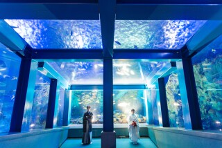 【Mai　BRIDE】鳥羽水族館ロケーション和装