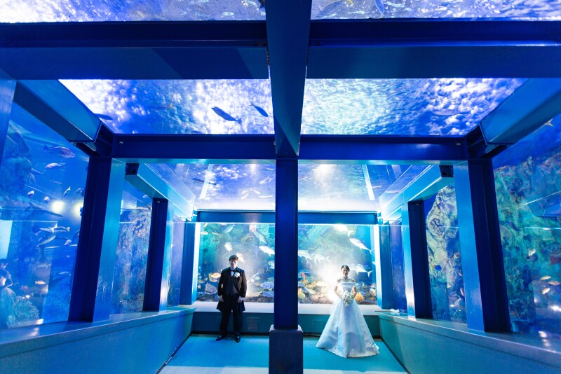 【MaiBRIDE】鳥羽水族館フォトプラン