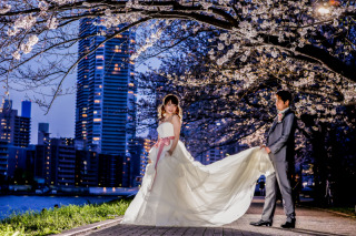 桜撮影ラスト