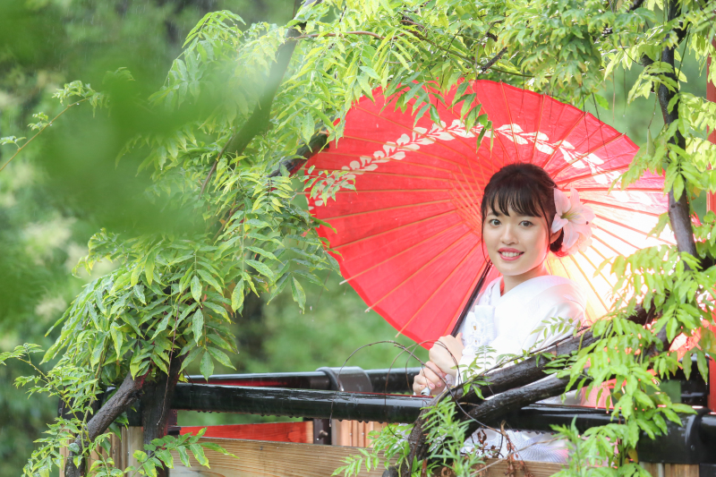 夏の庭園撮影の風景