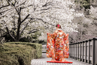 桜撮影⑧