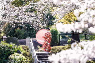 桜撮影⑥