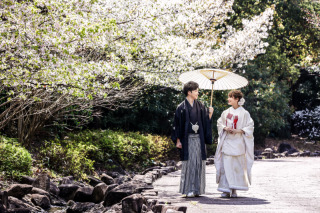 桜の開花日⑤