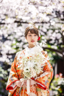 桜の開花日③