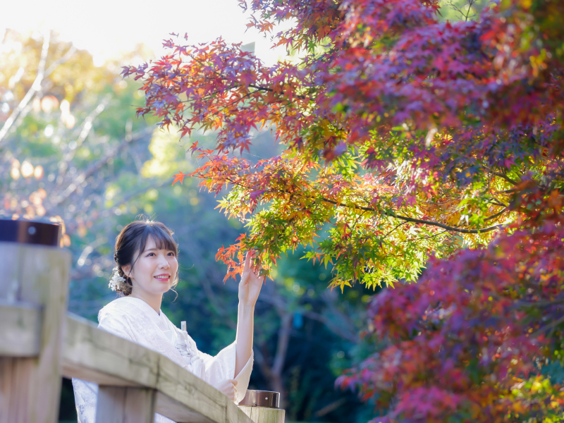 石炭の日