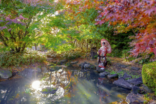 紅葉狩りは行きましたか?