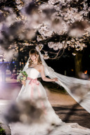 桜時期の天気⑥