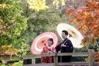 厳しい寒さですね