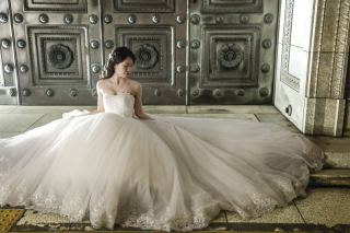 梅の花が咲きましたね