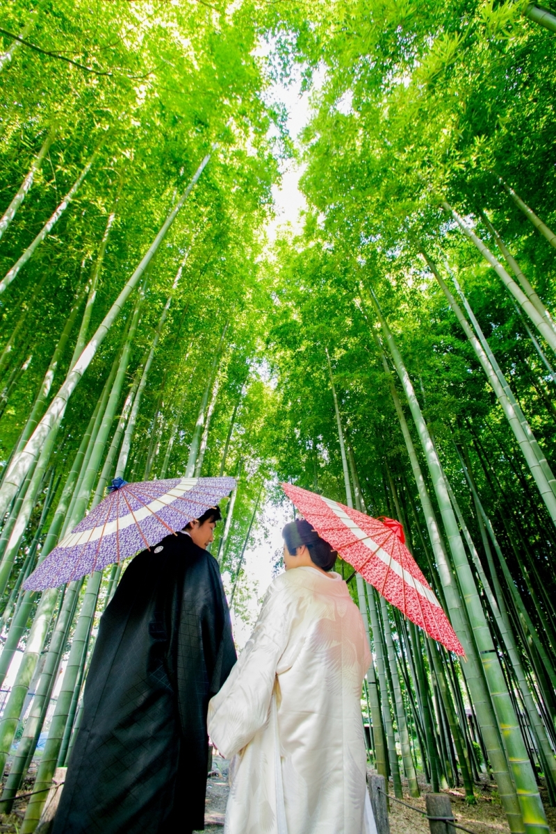 撮影スポット紹介@蘆花恒春園