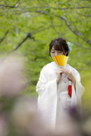 撮影小物のご紹介