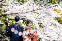 桜の開花日①