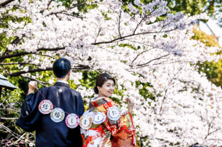 桜の開花日①