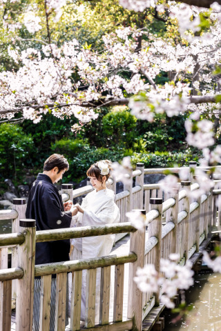 桜時期の天気