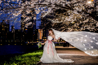桜撮影 洋装ロケ専門のエフェットプラス⑨