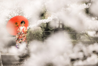 桜撮影⑦