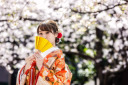 春がきた