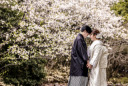 桜撮影②