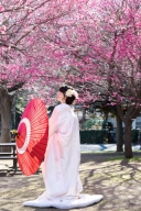 撮影スポット紹介@蘆花恒春園