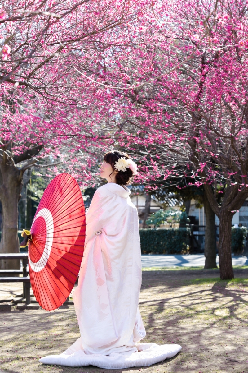 撮影スポット紹介@蘆花恒春園
