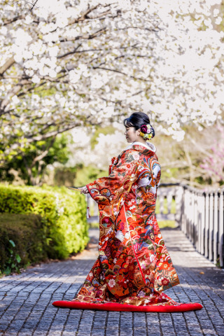 桜の開花日②