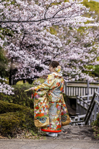 桜撮影⑤