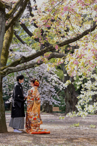 3月が始まりました