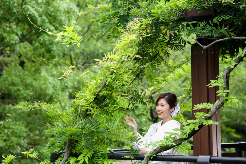 癒しのグリーン