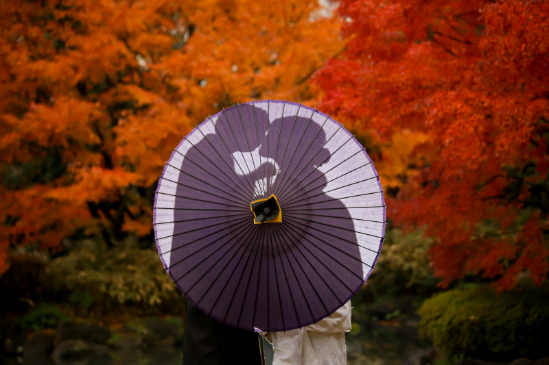 秋の撮影です～