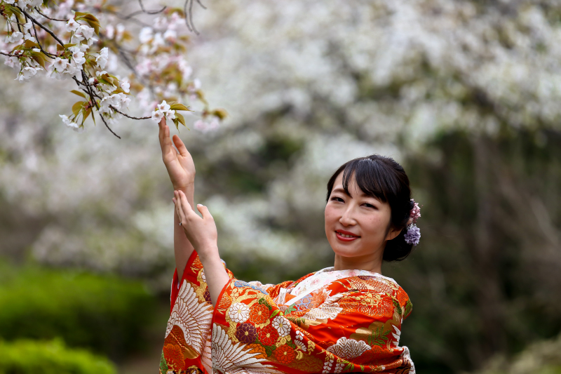 桜プラン始まりますよ～