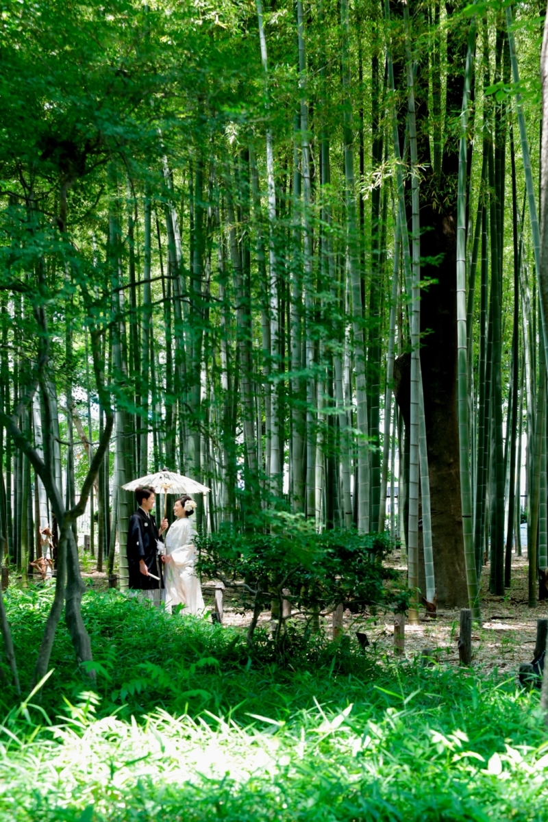 撮影スポット紹介@蘆花恒春園