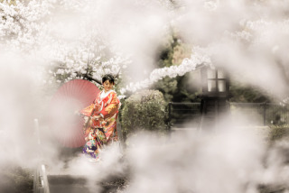 桜撮影⑧