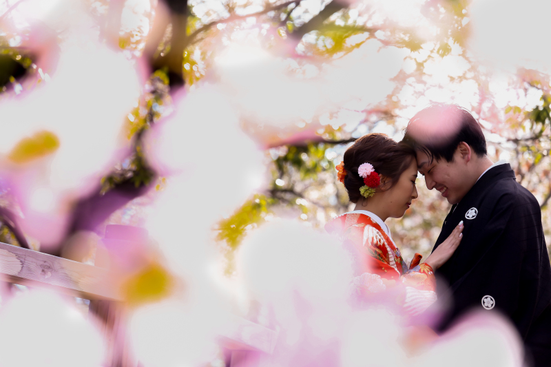 桜でロケーション撮影