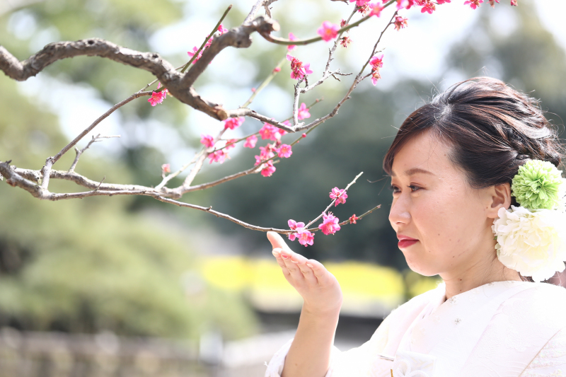新婦様和装ヘアスタイル