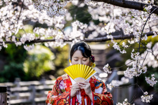 桜撮影⑧
