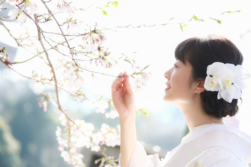 桜でロケーション撮影