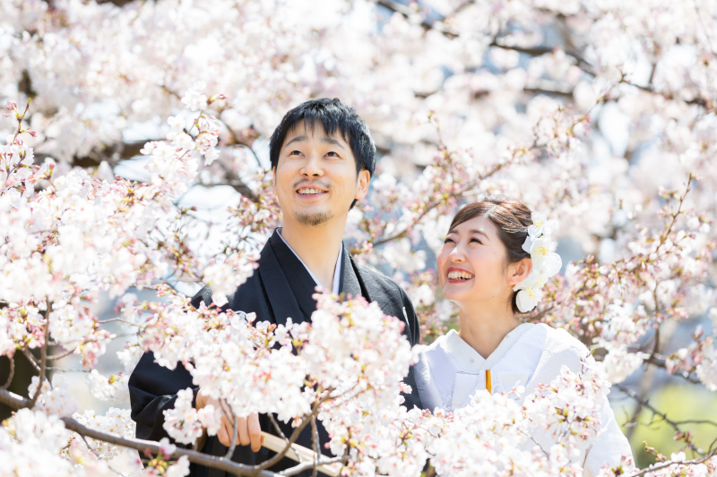 和装桜ロケーション