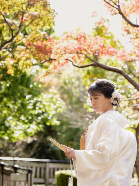 自然公園の日