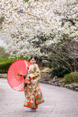 桜撮影③