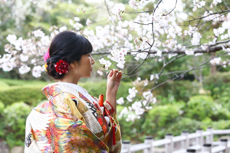 和装桜ロケーション